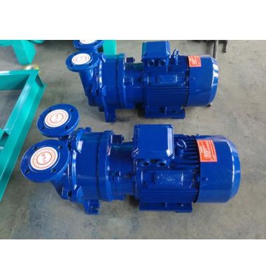 WXZ型無油直聯(lián)旋片真空泵-揚(yáng)州達(dá)瑞