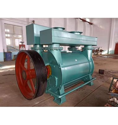 2BV水環式防爆式真空泵-揚州達瑞